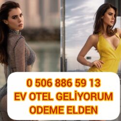 Zonguldak Araca Gelen Escort